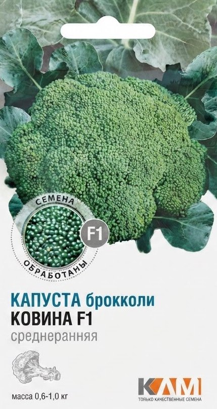 Семена Капуста брокколи Ковина F1, 10 шт - фото