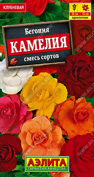 Семена Бегония крупноцветковая Камелия смесь сортов, 10 шт - фото