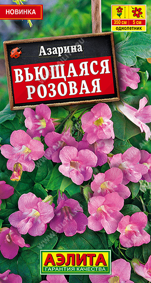 Семена Азарина вьющаяся розовая, 5 шт - фото