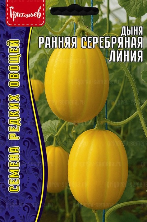 Семена Дыня Ранняя Серебряная линия, 10 шт - фото