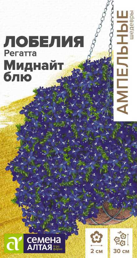 Семена Лобелия Регатта Миднайт Блю ампельная, 5 шт - фото