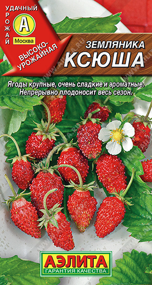 Семена Земляника альпийская Ксюша, 0,04 г - фото