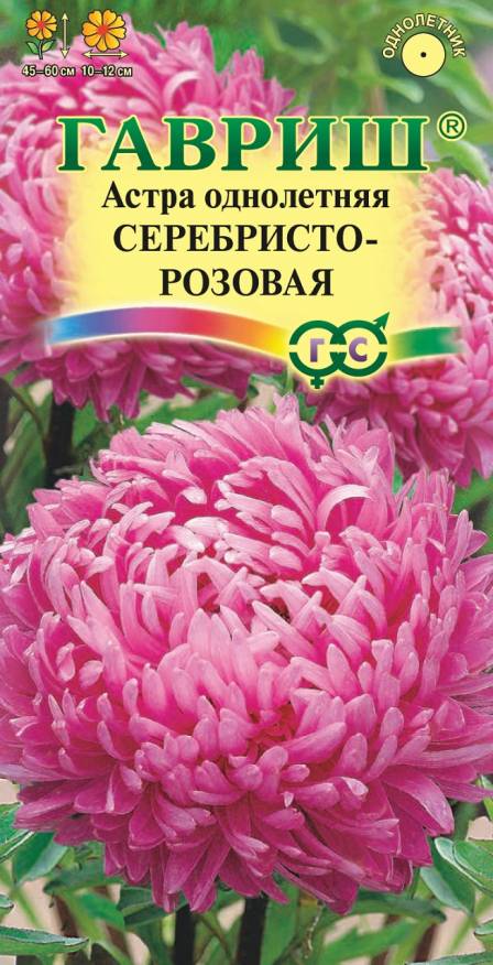 Семена Астра Серебристо-розовая, розовидная, 0,3 г - фото