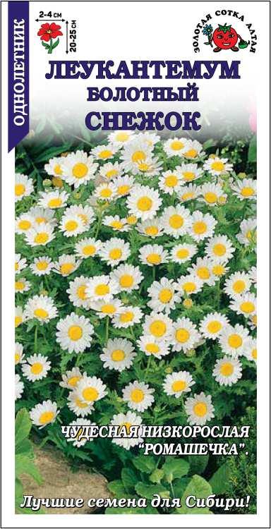 Семена Леукантемум Снежок, 0,1 г - фото