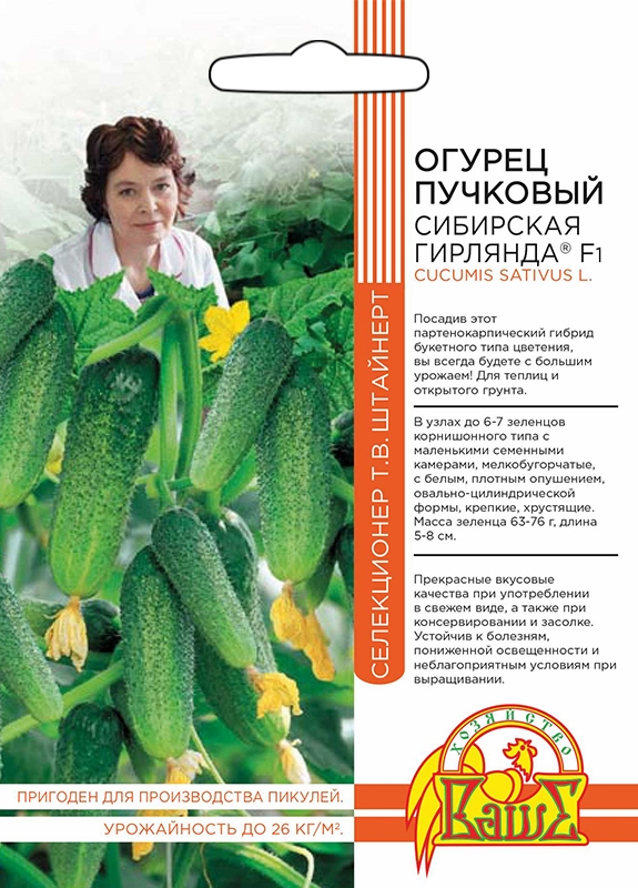 Семена Огурец пучковый Сибирская гирлянда F1, 5 шт - фото