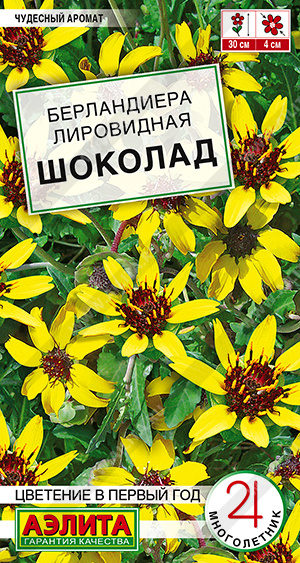 Семена Берландиера Шоколад, 5 шт - фото