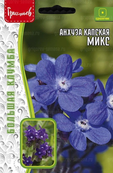 Семена Анхуза Микс капская, 0,1 г - фото