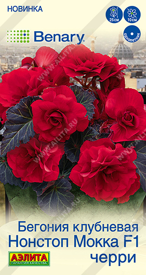 Семена Бегония клубневая Нонстоп мокка F1 черри, 5 шт - фото