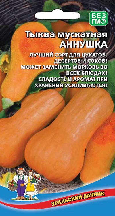 Семена Тыква мускатная Аннушка, 5 шт УД - фото