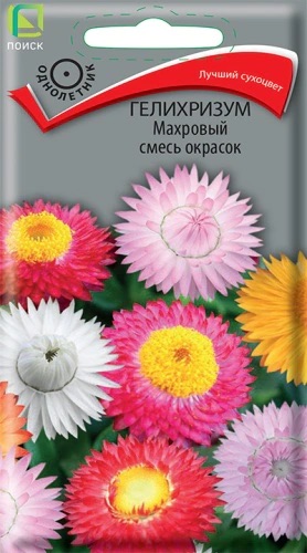 Семена Гелихризум Махровый смесь окрасок, 0,25 г - фото