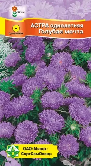 Семена Астра Карликовая Голубая мечта, 0,3 г - фото