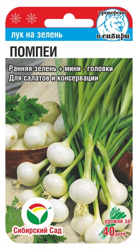 Семена Лук на зелень Помпеи, 0,5 г - фото