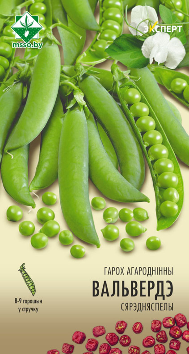 Семена Горох Вальверде овощной, 12 г (Эксперт) - фото
