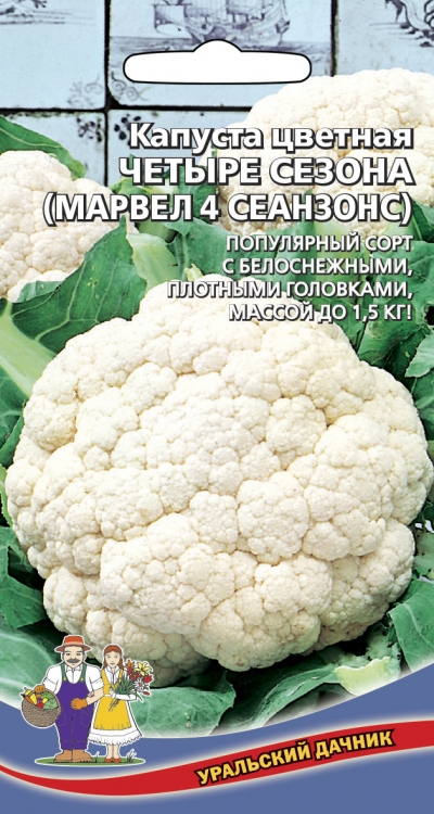 Семена Капуста цветная Чудо четырёх сезонов (Марвел 4), 0,25 г - фото