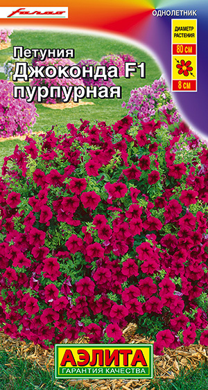 Семена Петуния Джоконда пурпурная F1, 7 шт - фото