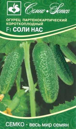 Семена Соли Нас F1, 5 шт - фото