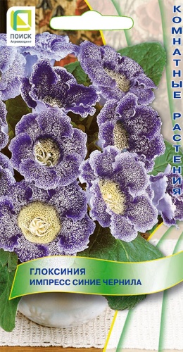 Семена Глоксиния Импресс Синие чернила, 5 шт - фото