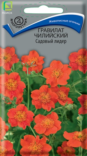 Семена Гравилат чилийский Садовый лидер, 0,1 г - фото