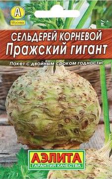 Семена Сельдерей Пражский Гигант (корневой), 0,5 г Аэлита - фото