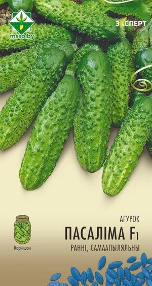 Семена Огурец Пасалимо F1, 10 шт (Эксперт) - фото