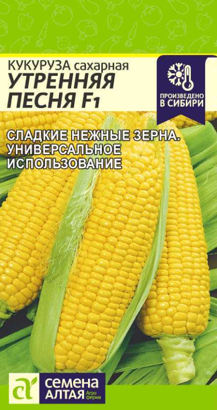 Семена Кукуруза Утренняя Песня Сахарная F1, 5 г - фото