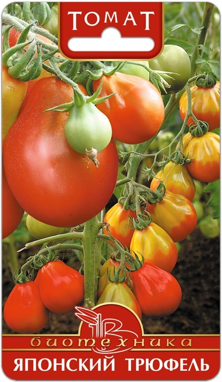 Семена Томат Японский Трюфель, 20 шт Биотехника - фото