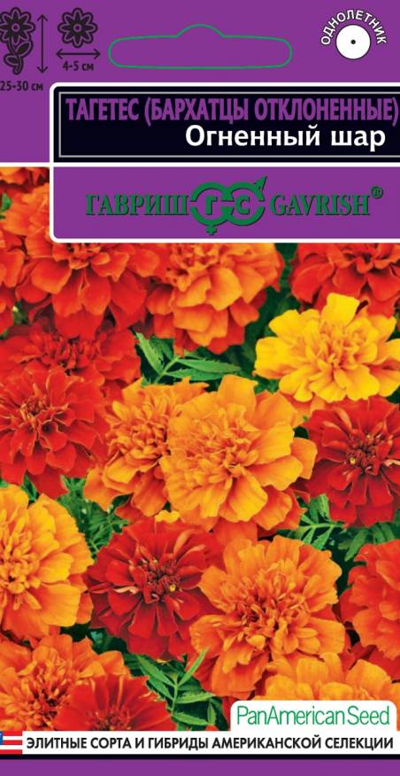 Семена Бархатцы отклоненные (тагетес) Огненный шар, 5 шт - фото