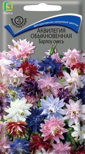 Семена Аквилегия обыкновенная Барлоу смесь, 20 шт - фото