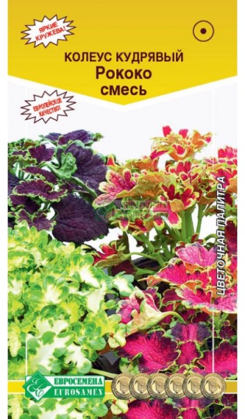 Семена Колеус кудрявый Рококо смесь, 15 шт - фото