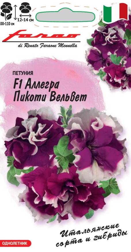 Семена Петуния крупноцветковая Аллегра Пикоти вельвет F1, 7 шт - фото