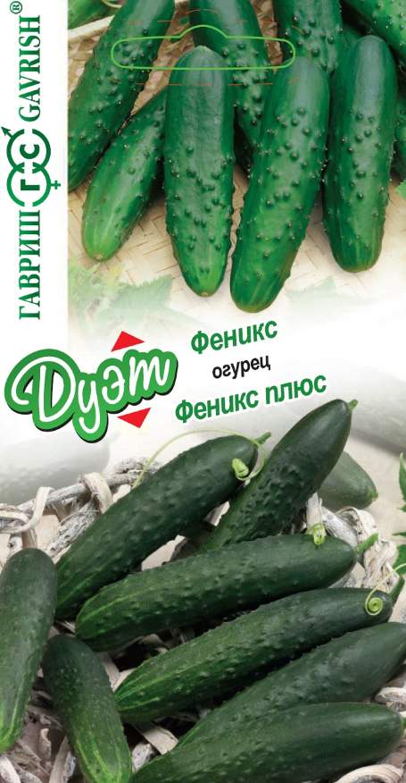 Семена Набор семян Огурец Феникс, 0,5 г и Огурец Феникс плюс, 0,5 г - фото