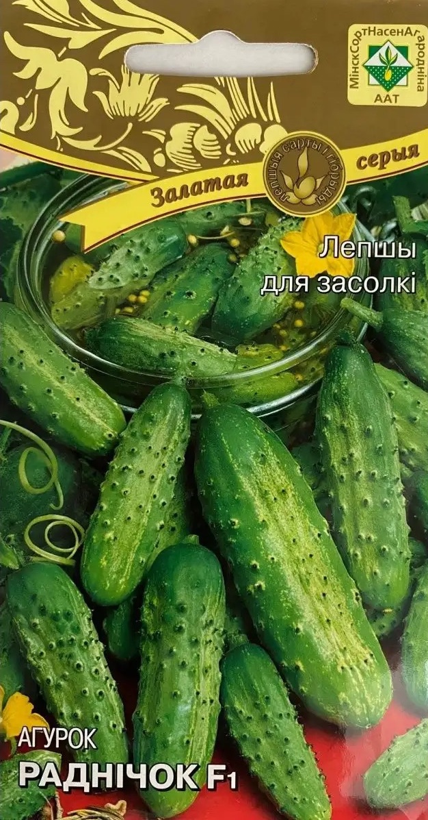 Семена Огурец Родничок F1, 0,6 г - фото