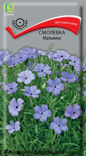 Семена Смолевка Мальвина, 0,05 г - фото