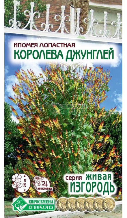 Семена Ипомея лопастная Королева Джунглей, 0,3 г - фото