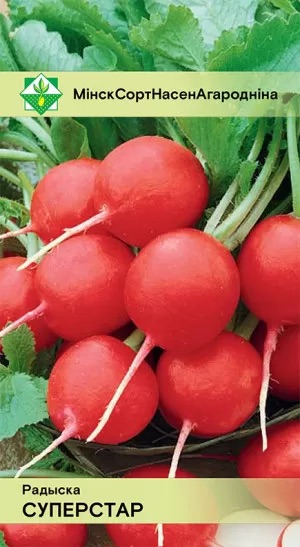Семена Редис Суперстар, 2 г - фото