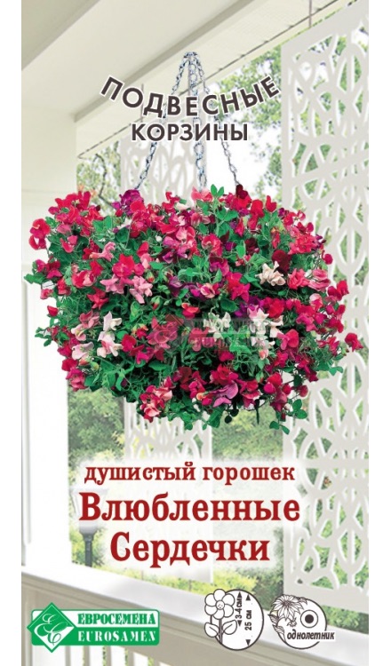 Семена Душистый горошек Влюбленные Сердечки, 10 шт - фото