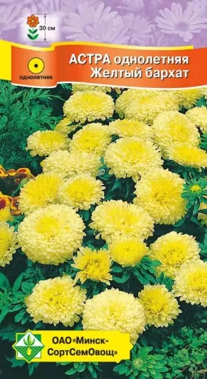 Семена Астра Карликовая Желтый бархат, 0,3 г - фото