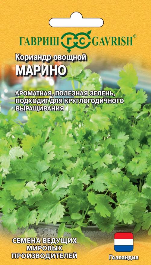 Семена Кориандр Марино, 1 г - фото
