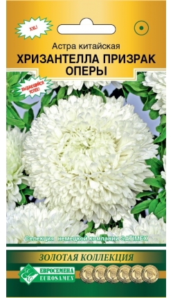 Семена Астра китайская Хризантелла Призрак Оперы, 5 шт - фото