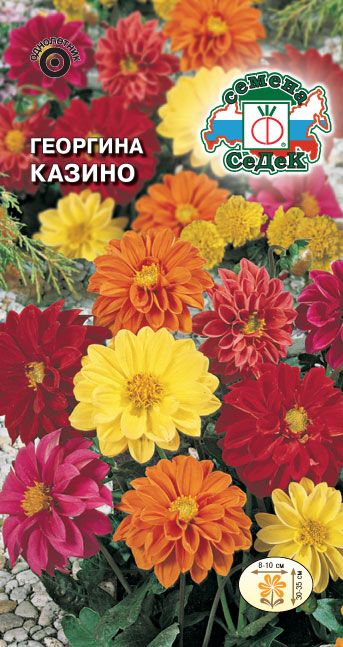 Семена Георгина Казино смесь, 0,2 г - фото