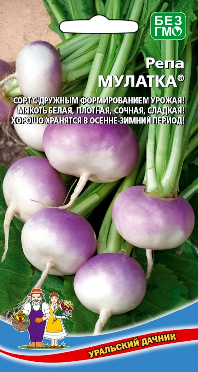 Семена Репа Мулатка, 0,25 г - фото