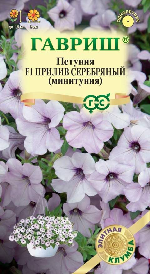 Семена Петуния суперкаскадная (Минитуния) Прилив Серебряный F1, 4 шт - фото
