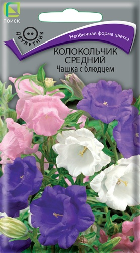 Семена Колокольчик средний Чашка с блюдцем, 0,2 г - фото