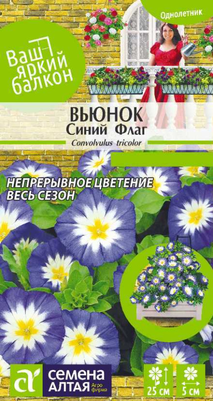 Семена Вьюнок Синий флаг трехцветный, 0,5 г - фото
