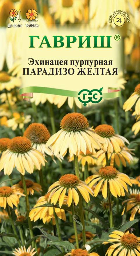 Семена Эхинацея Парадизо желтая, 5 шт - фото
