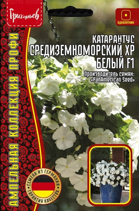 Семена Катарантус Средиземноморский белый F1, 5 шт - фото