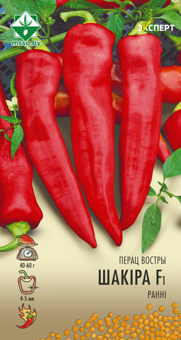 Семена Перец Шакира F1 острый, 5 шт - фото