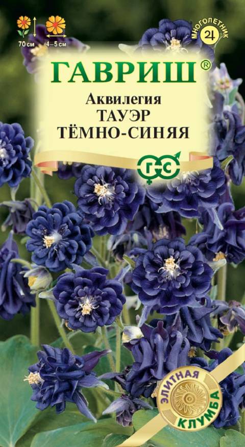 Семена Аквилегия Тауэр темно-синяя, 10 шт - фото