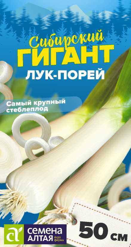 Семена Лук Порей Сибирский Гигант, 0,5 г - фото