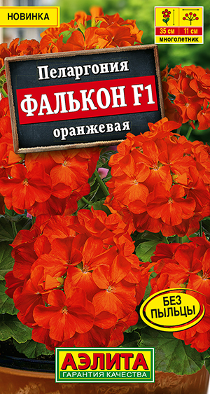Семена Пеларгония садовая Фалькон F1 оранжевая, 4 шт - фото